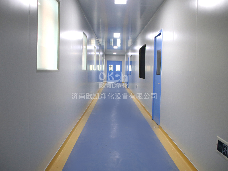 产品-GMP净化车间走廊.jpg