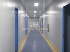 十万级洁净走廊